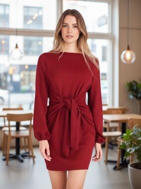 Women’s Elegant Lantern Long Sleeve Crewneck Tie Waist Dress